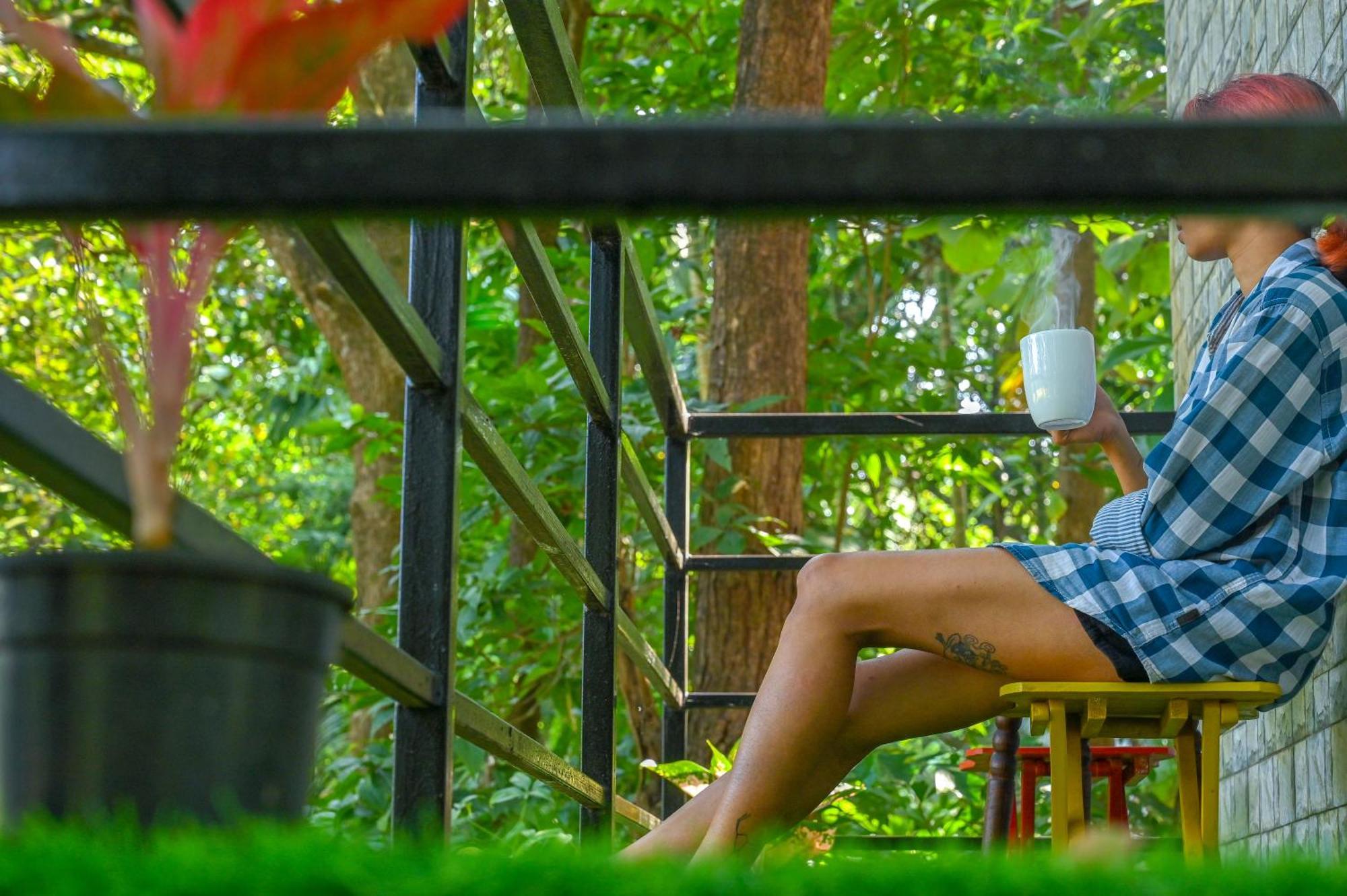 Shell House - Private Stay With Garden View In Arambol Mandrem Ngoại thất bức ảnh
