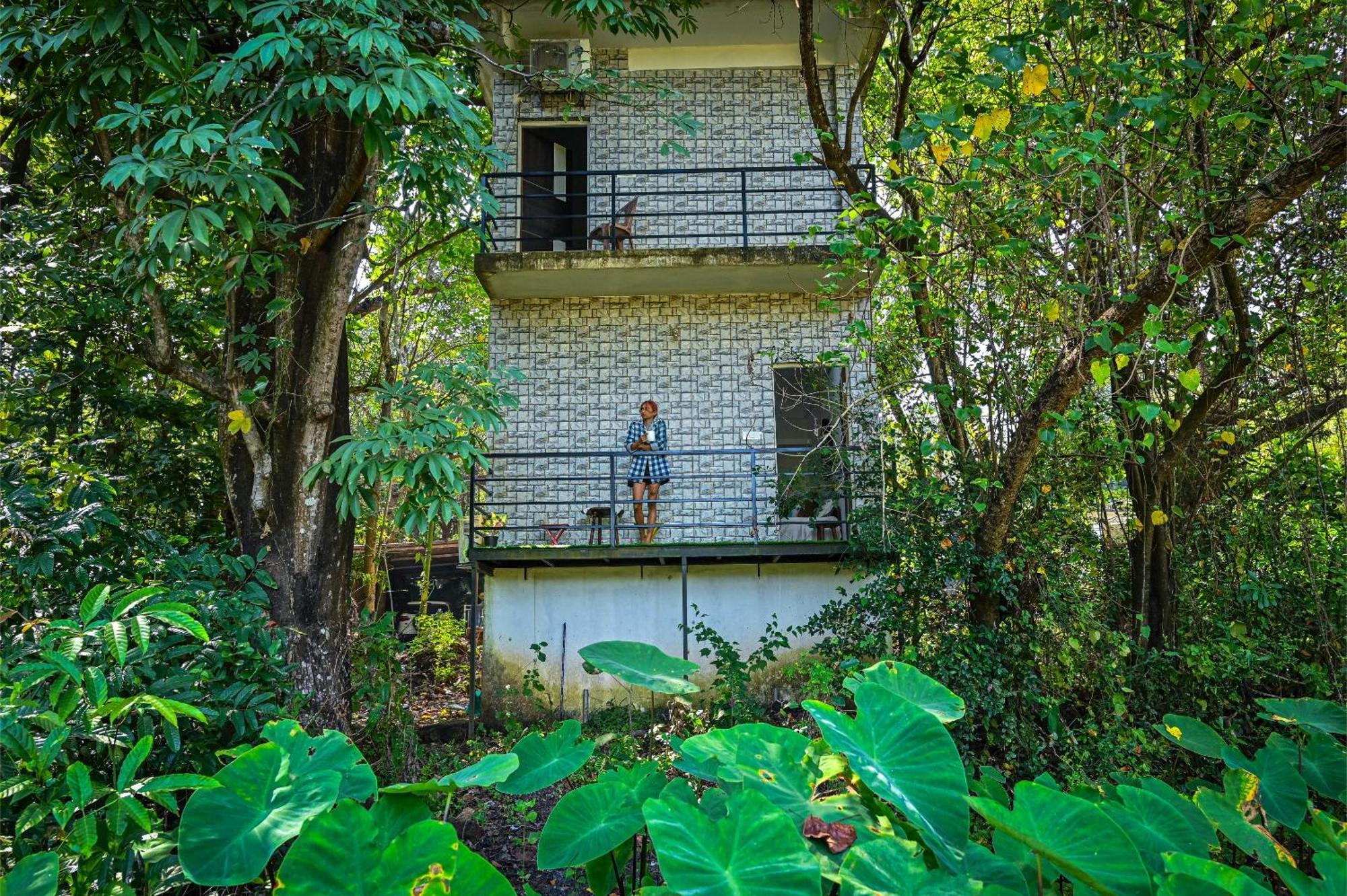Shell House - Private Stay With Garden View In Arambol Mandrem Ngoại thất bức ảnh